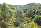 Terreno no urbanizable en venta en Caspe ref: TR402321 foto