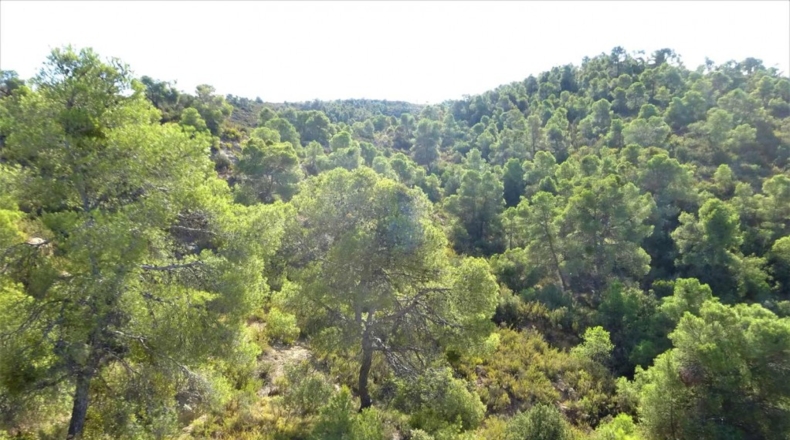 Zaragoza - Caspe - 32800m2