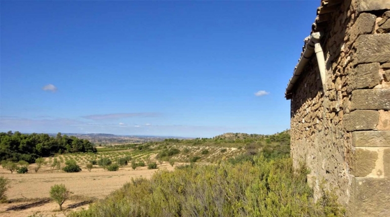 Zaragoza - Caspe - 32800m2