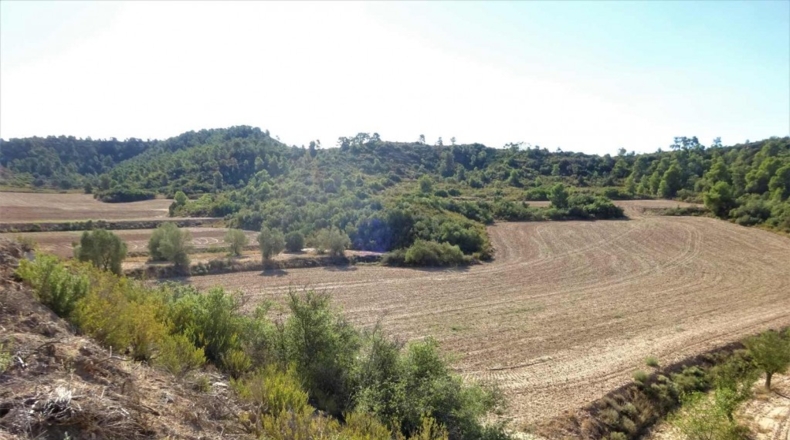 Zaragoza - Caspe - 32800m2