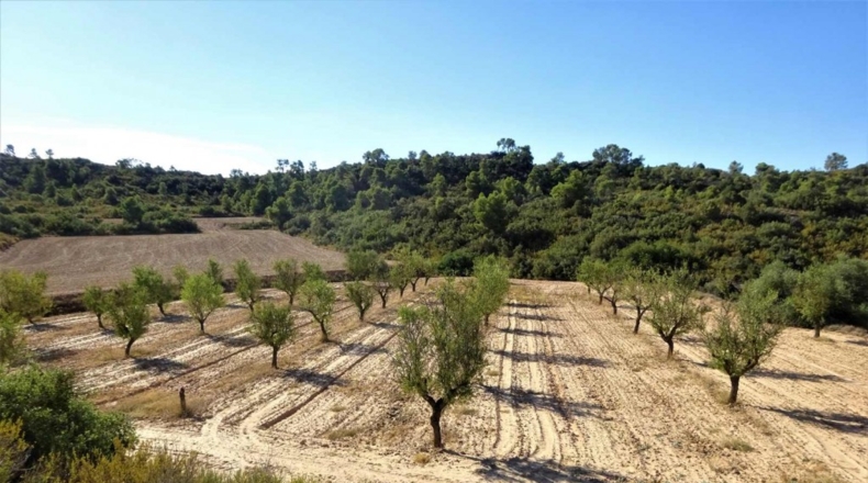 Zaragoza - Caspe - 32800m2