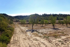 Foto 19