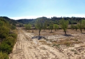 Terreno no urbanizable en venta en Caspe ref: TR402321 foto