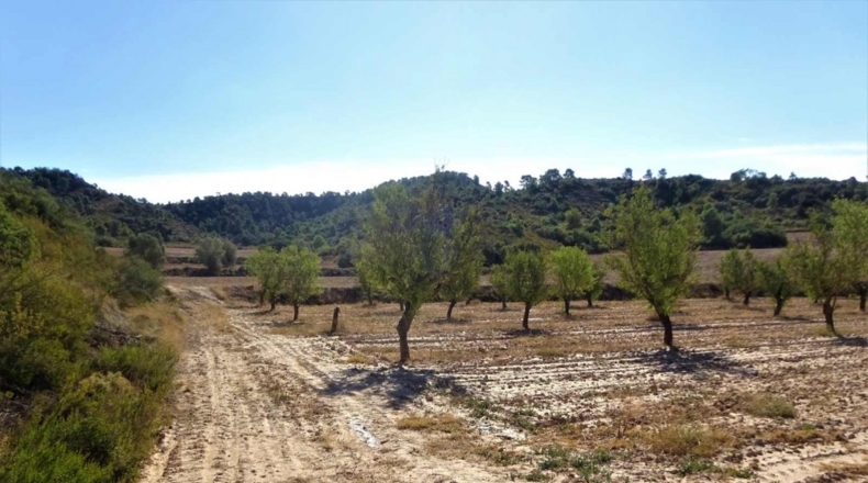 Zaragoza - Caspe - 32800m2