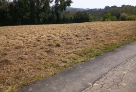 Puentedeume 3124&nbsp;m²