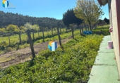 Xalet independent amb terreny en venda a la España, O Porto do Son, ref.: TR402327 foto