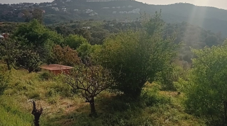 Málaga - Mijas - 2500m2