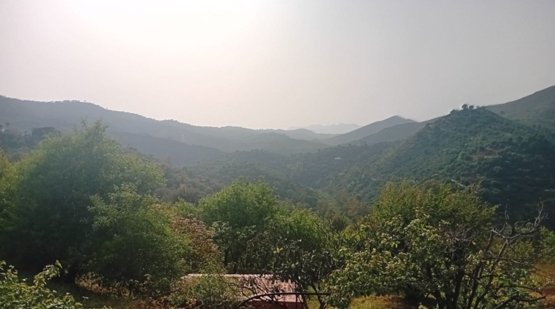 Málaga - Mijas - 2500m2