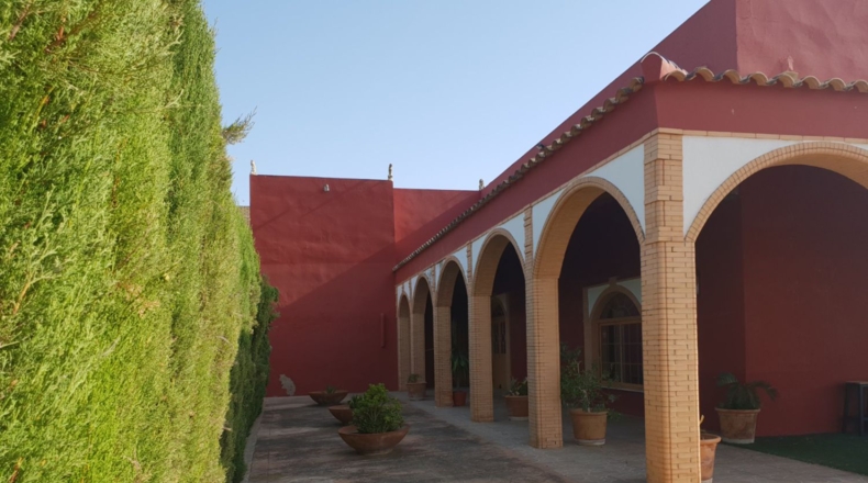 Sevilla - La Algaba - 11885m2