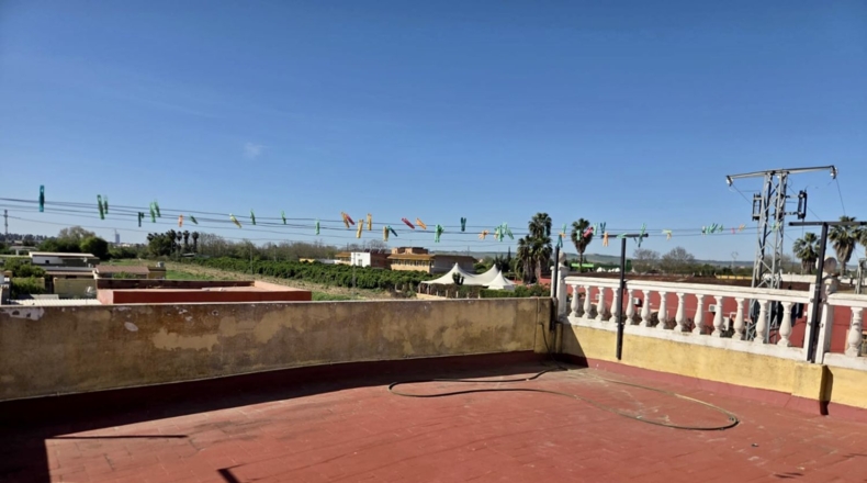 Sevilla - La Algaba - 11885m2