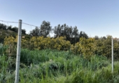 Parcela urbanizable en venta en Murchas ref: TR402345 foto
