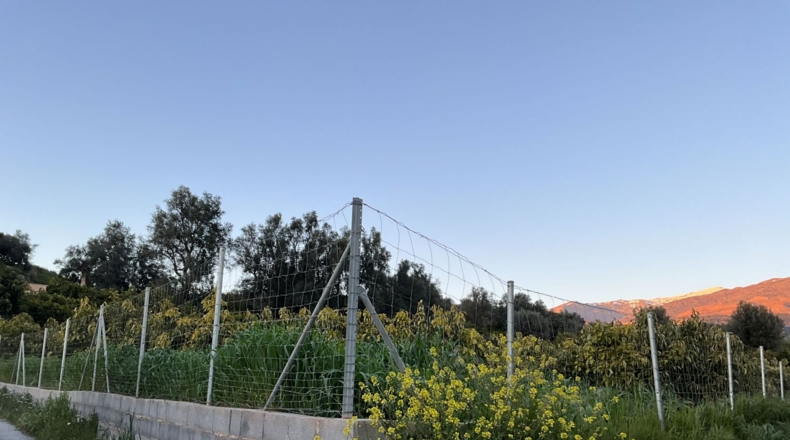 Granada - Murchas - 1900m2