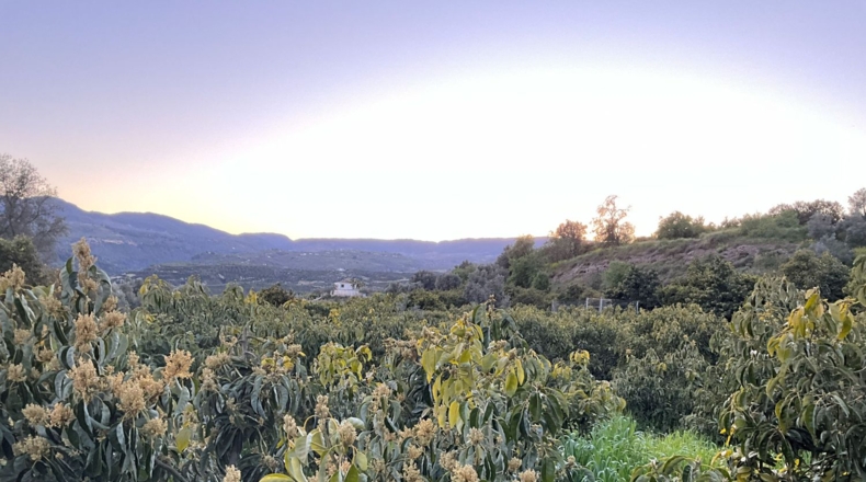 Granada - Murchas - 1900m2