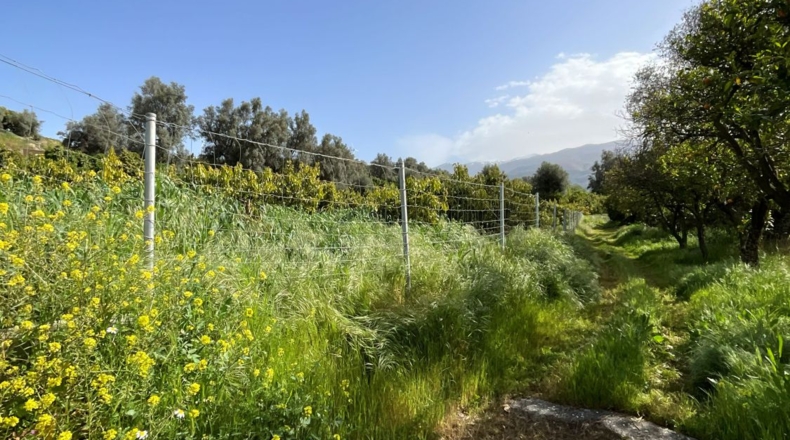 Granada - Murchas - 1900m2