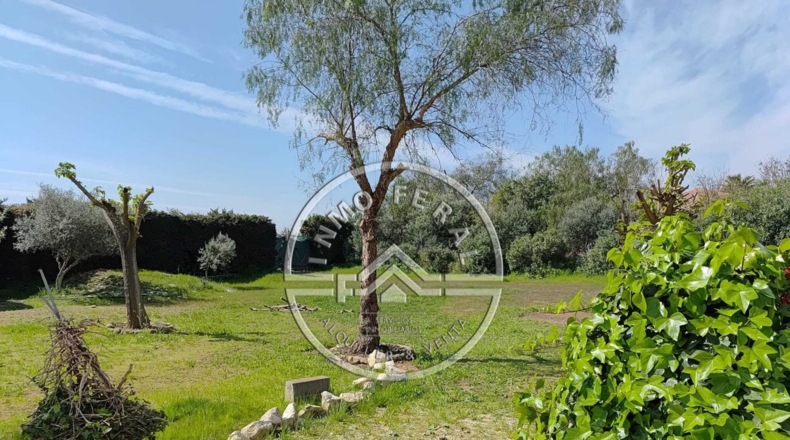 Sevilla - Cañada Rosal - 2700m2