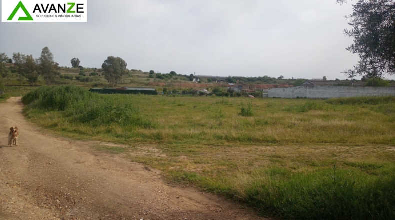 Badajoz - Mérida - 6548m2