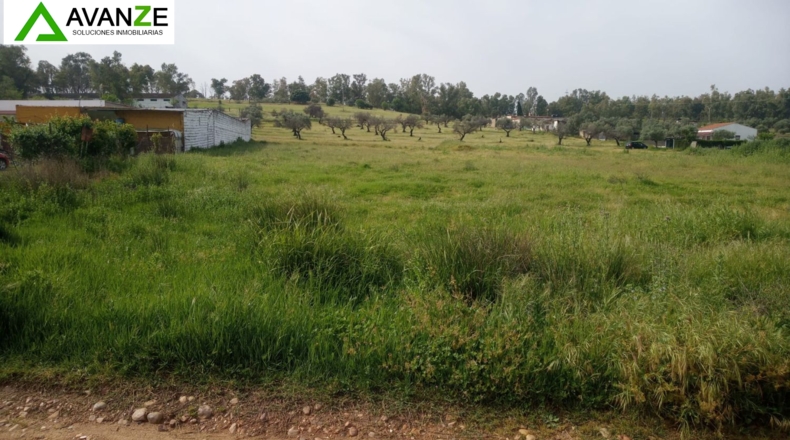 Badajoz - Mérida - 6548m2