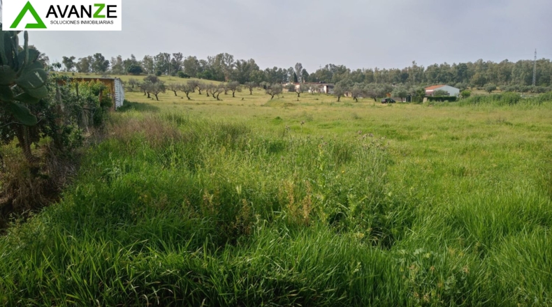 Badajoz - Mérida - 6548m2
