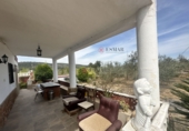 Chalet independiente con terreno en venta en Algímia d'Alfara ref: TR402363 foto