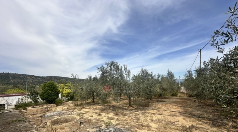 Valencia - Algimia de Alfara - 1606m2