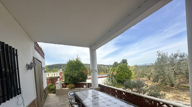 Valencia - Algimia de Alfara - 1606m2