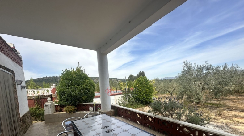 Valencia - Algimia de Alfara - 1606m2