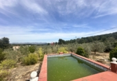 Chalet independiente con terreno en venta en Algímia d'Alfara ref: TR402363 foto