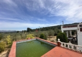 Chalet independiente con terreno en venta en Algímia d'Alfara ref: TR402363 foto