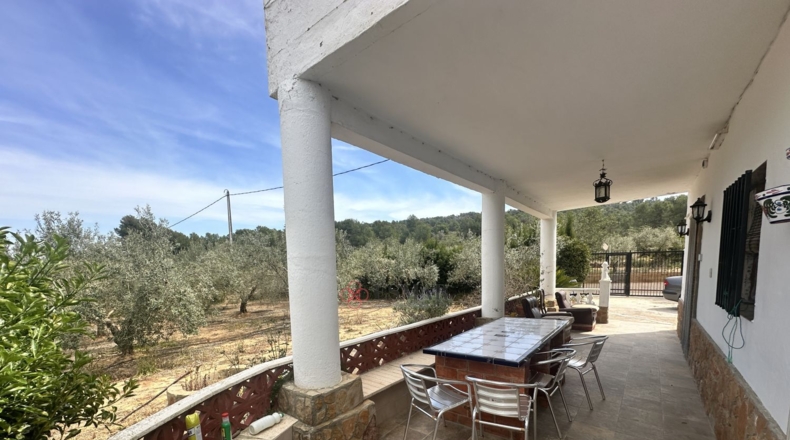Valencia - Algimia de Alfara - 1606m2
