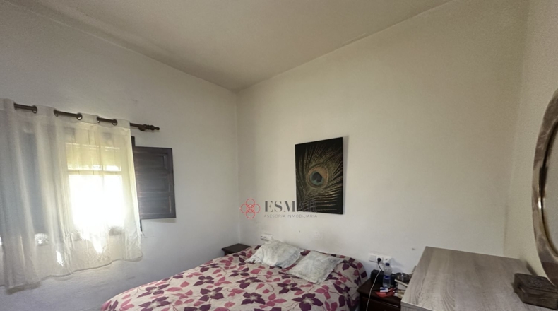 Valencia - Algimia de Alfara - 1606m2