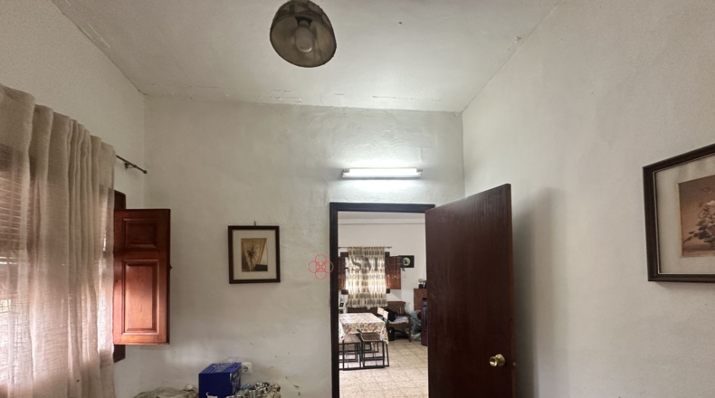 Valencia - Algimia de Alfara - 1606m2