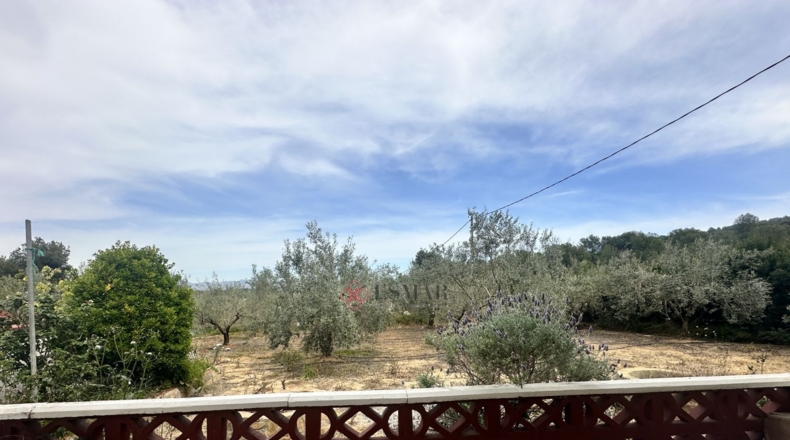 Valencia - Algimia de Alfara - 1606m2