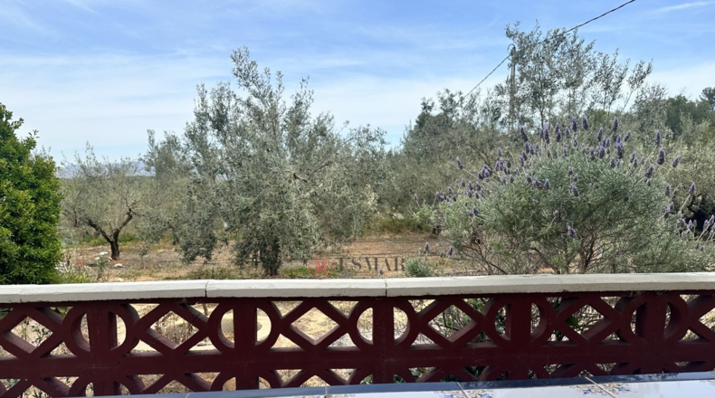Valencia - Algimia de Alfara - 1606m2