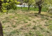 Land with storage building for sale on Cortijo holgado, Ojén, ref: TR402379 photo