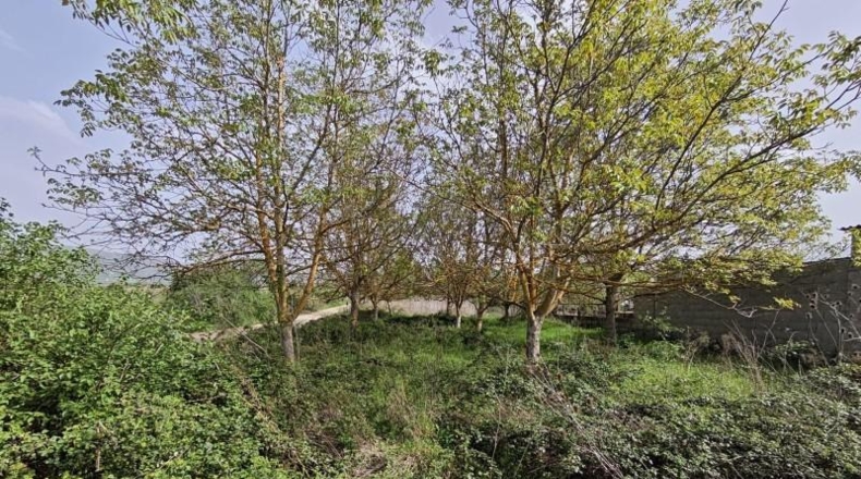León - Ponferrada - 1750m2