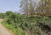 Non-developable land for sale on España, Ponferrada, ref: TR402390 photo