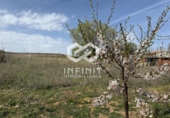 Terreno no urbanizable en venta en la España, Albalate de Zorita, ref: TR402419 foto