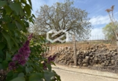 Terreno no urbanizable en venta en la España, Albalate de Zorita, ref: TR402419 foto