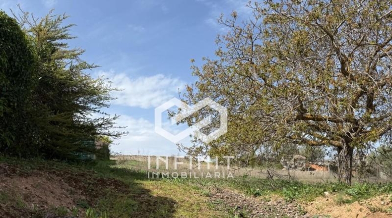 Guadalajara - Albalate de Zorita - 1798m2