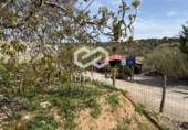 Terreno no urbanizable en venta en la España, Albalate de Zorita, ref: TR402419 foto