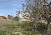 Terreno no urbanizable en venta en la España, Albalate de Zorita, ref: TR402419 foto