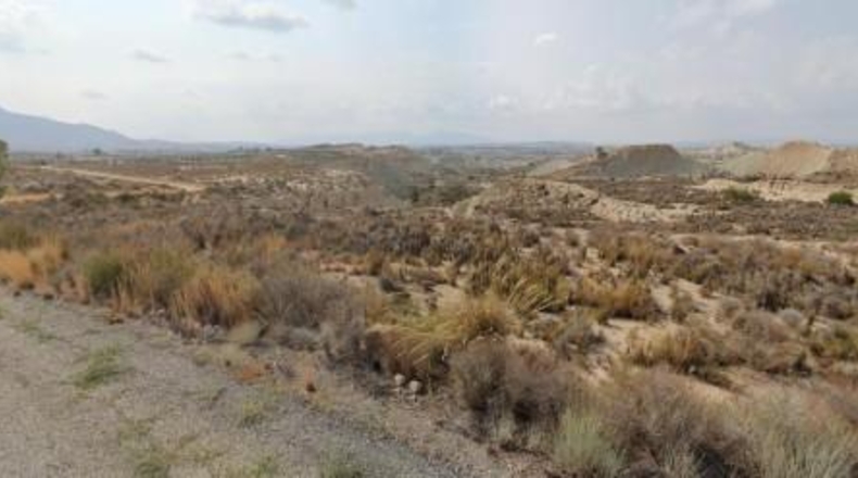 Murcia - Abanilla - 2500m2