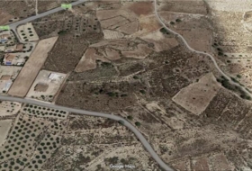 Favanella 2500&nbsp;m² 