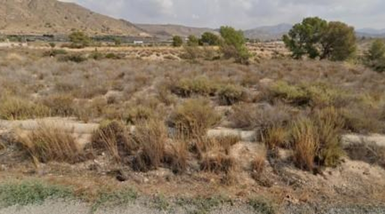 Murcia - Abanilla - 2500m2