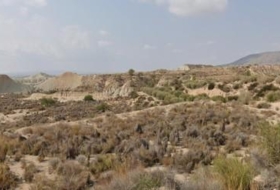 Favanella 2500&nbsp;m² 