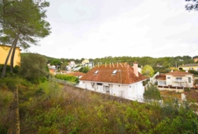 Olivella 801&nbsp;m²