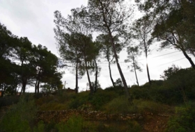Olivella 801&nbsp;m²