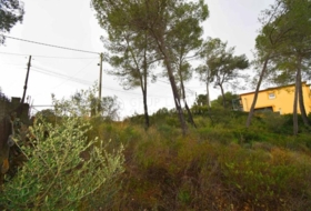 Olivella 801&nbsp;m²