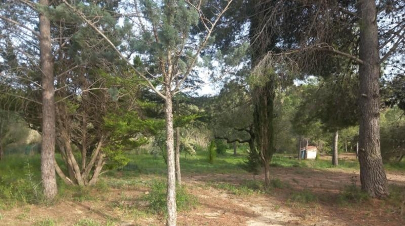 Tarragona - Reus - 8006m2