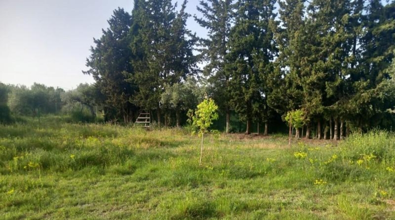 Tarragona - Reus - 8006m2
